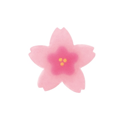 Taniguchi 桜の花（A-292）245個