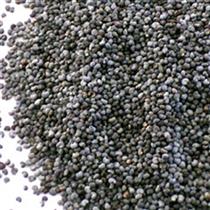GABAN / ブルーポピーシード(青) 1kg