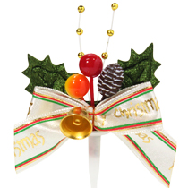 ヒイラギNo.271（10個）