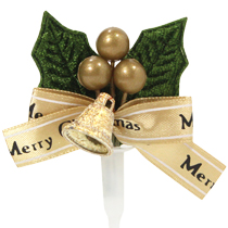 ヒイラギNo.273（10個）